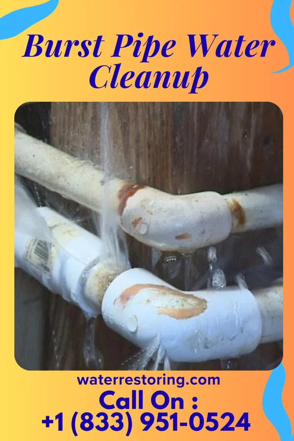Burst Pipe Water Cleanup in Mystic Island, NJ