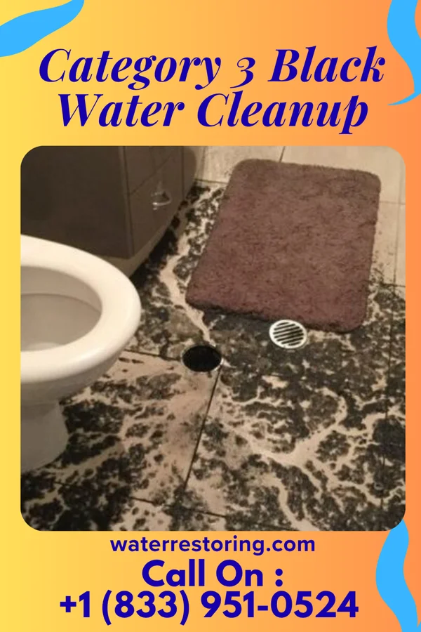 Category 3 Black Water Cleanup in Mystic Island, NJ