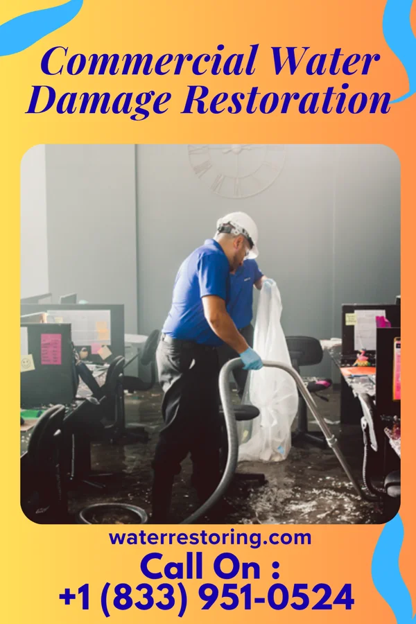 Commercial Water Damage Restoration in Mystic Island, NJ