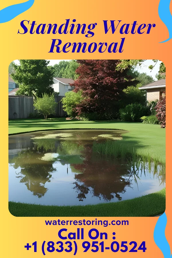 Standing Water Removal in Mystic Island, NJ